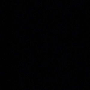 Meet your Posher, Monkey